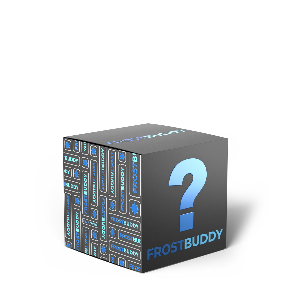Mystery Buddy Box